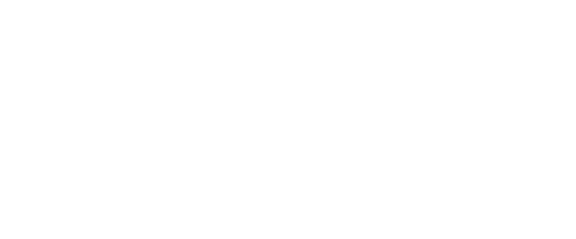 vainu-logo-bitmap-rgb-hor-white